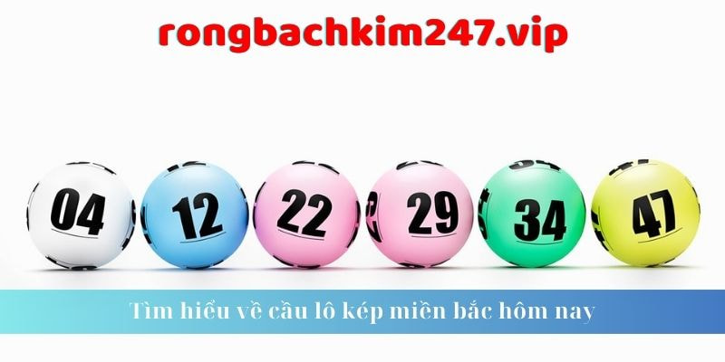 soi-cau-247-mien-phi