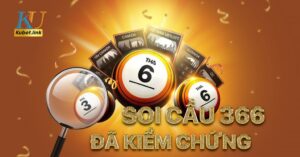 soi-cau-366